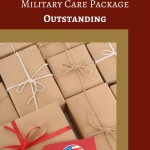 9 Themes to make your Military Care Package Outstanding; VeteranAid.org