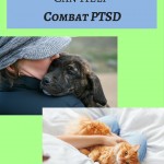 How Pets Can Help Combat PTSD; VeteranAid.org