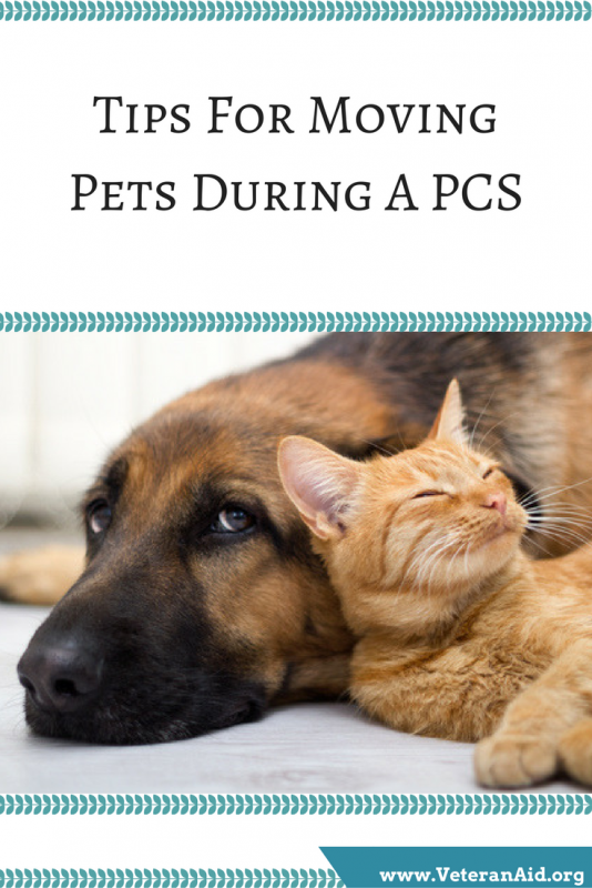 Tips For Moving Pets During A PCS